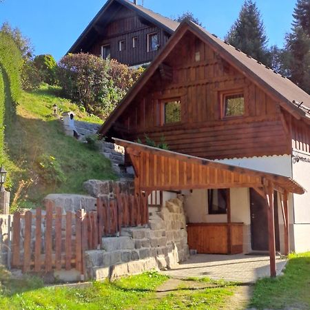 Apartman Albrecht Albrechtice v Jizerskych horach Exterior photo