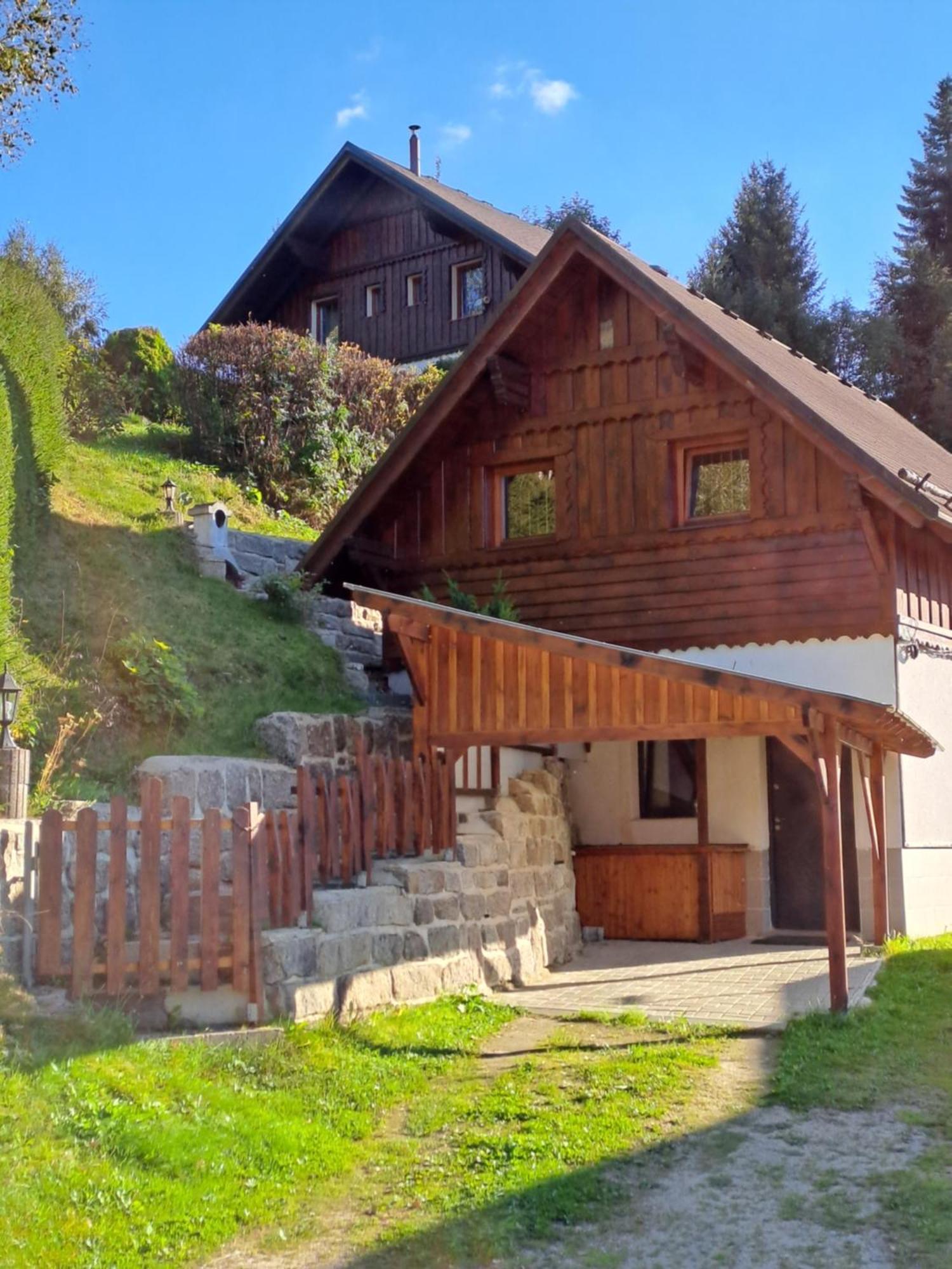 Apartman Albrecht Albrechtice v Jizerskych horach Exterior photo